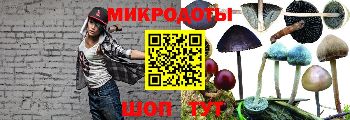 Псилоцибиновые грибы Cubensis Северобайкальск